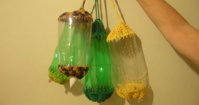 Dicas para Fazer Artesanato com Garrafa Pet